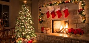 Ancient History Of The Christmas Tree And Its Pagan Roots - How The 'Forbidden' Tree Survived Against All Odds