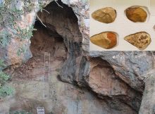 Oldest-Known Grinding Tool Used 350,000 Years ago Was found In Tabun Cave, Israel