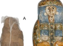 Mummified individual and coffin (the Nicholson Collection of the Chau Chak Wing Museum (Sowada et al/PLOS One)