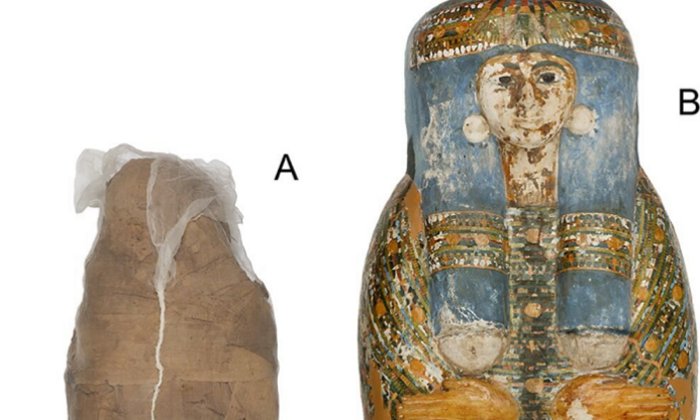 Mummified individual and coffin (the Nicholson Collection of the Chau Chak Wing Museum (Sowada et al/PLOS One)