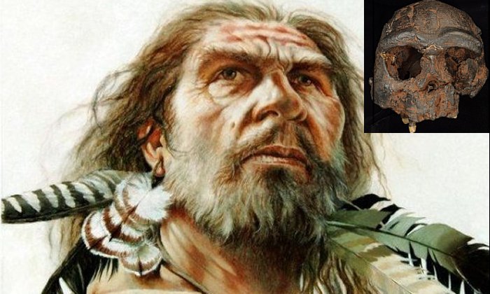 Mysterious Denisovans - New Study Offers News Evidence