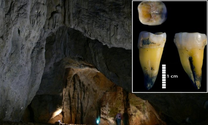 Bacho Kiro Cave: Genomes Of The Earliest Europeans - Sequenced