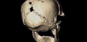 Oldest Modern Human Genome Identified With The Help Of Neanderthal Ancestry