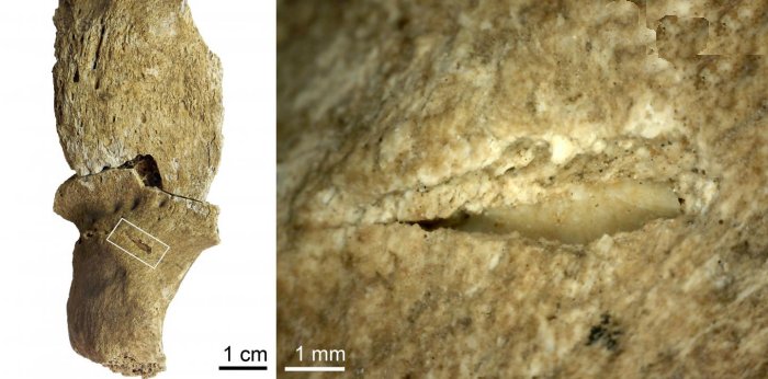 Jebel Sahaba: Analysis of 13,000-Years-Old Bones Reveals Prehistoric Violent Raids But Not A Single Armed Conflict 