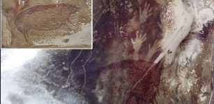 Climate Change Will Soon Erase Ancient Cave Art Of Sulawesi, Indonesia