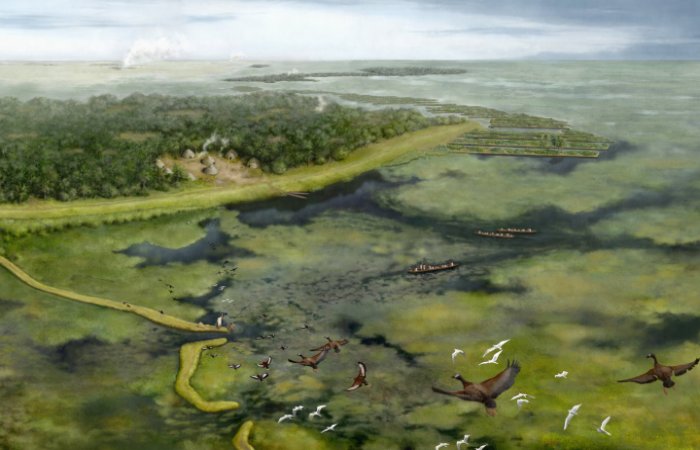 Pre-Columbian People Of The Amazon Altered Their Landscape Thousands Of Years Earlier Than Previously Thought