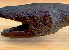 4,000 Year Old Serpent-Shaped Wooden Stick Unearthed in Southern Finland