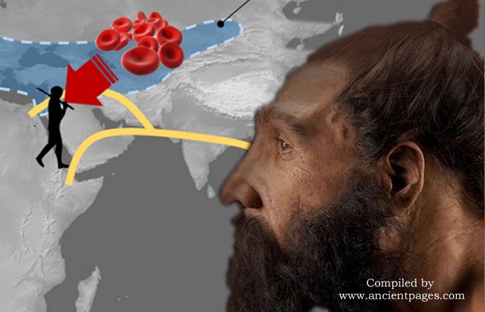 Neanderthal And Denisovan Blood Groups Deciphered And The Results Are Surprising