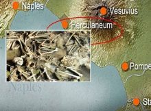 Roman Herculaneum: Men And Women Had Different Diets - New Study