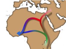 Artificial Intelligence Reveals The Out Of Africa Expansion Is More Complex Than Previously Thought