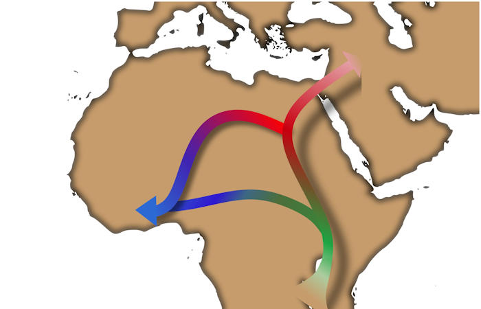 Artificial Intelligence Reveals The Out Of Africa Expansion Is More Complex Than Previously Thought