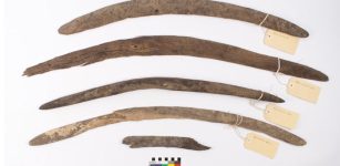 Rare Ancient Boomerang Collection Sheds New Light On Australia's Past