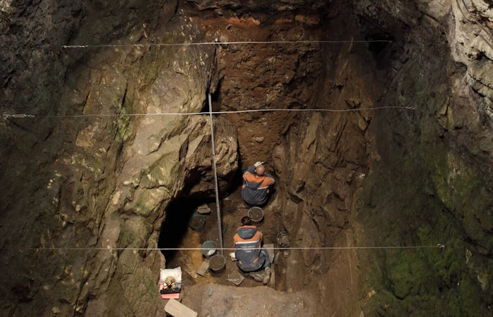 The Oldest Denisovan Fossils Ever Discovered Shed New Light On Early Hominins As They Spread Across Eurasia