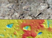 This model of five hominin footprints at site A in Laetoli, Tanzania, was made using photogrammetry and a 3D scan. (Images by Austin C. Hill and Catherine Miller)