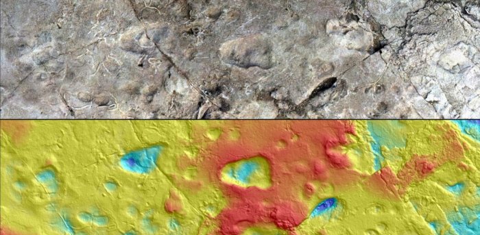 This model of five hominin footprints at site A in Laetoli, Tanzania, was made using photogrammetry and a 3D scan. (Images by Austin C. Hill and Catherine Miller)