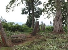 Ancient Stone Monoliths In Ethiopia Are 1,000 Years Older Than Previously Thought