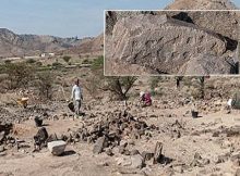 Unique 4,000-Year-Old Board Game - Unearthed In Oman