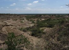 230,000-Year-Old Human Remains Discovered In Eastern Africa - Rewrite Ancient History