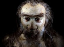 Modern Humans Carrying The Neanderthal Variant Have More Protection Against Oxidative Stress