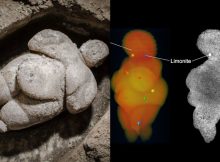 Mystery Of The 30,000-Year-Old Venus Of Willendorf Solved?