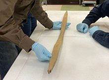 Still Intact 460-Year-Old Bow Found Underwater In Alaska Baffles Scientists - Where Did It Come From?