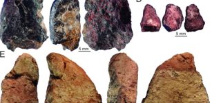 Homo sapiens In China And What Happened When They Encountered Denisovans Or Neanderthals