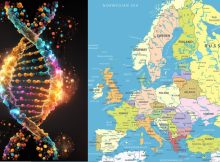 5,000-Year-Old DNA Could Solve The Mystery Of Genetic Changes In Europe