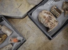 Surprising Discovery Of Ancient Sarcophagus At Paris' Notre-Dame Cathedral