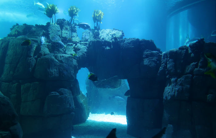 underwater cities discovered