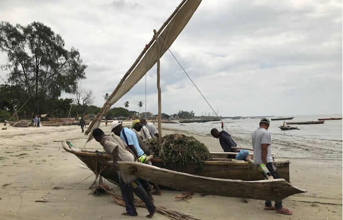 First Detailed Academic Study Of East African Maritime Traditions Shows Changes In Boatbuilding