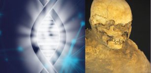 First Pompeiian Human Genome Sequenced Fron An Individual Who Died After The Eruption Of Mount Vesuvius In 79 C.E