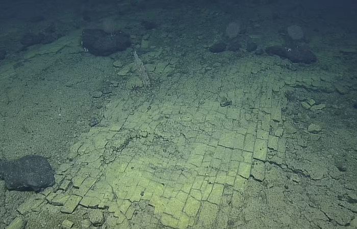 Yellow Brick Road Discovered In Pacific Ocean During First-Ever