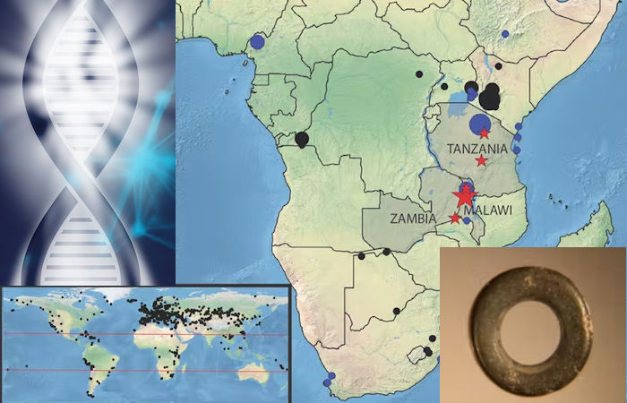 Ancient DNA Helps Reveal Social Changes In Africa 50,000 Years Ago That Shaped The Human Story