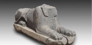 Mini Sphinxes, Huge Baboon Statue And Blocks From Khufu's Reign Discovered In Heliopolis