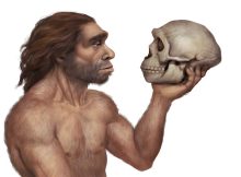 Could Neanderthals Meditate? Scientists Investigate