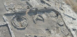 Olive Trees Were First Domesticated 7,000 Years Ago In The Jordan Valley