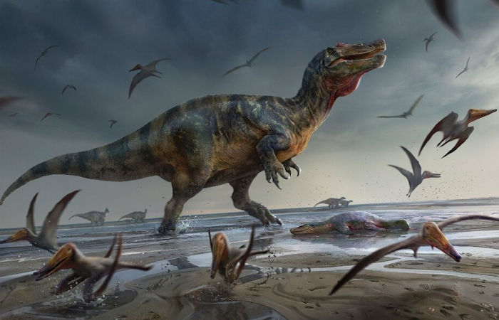 Europe's Largest Predatory Dinosaur Unearthed On The Isle Of Wight