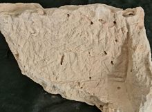 3,500-Year-Old Stone Inscribed With A Curse Against The City’s Governor Discovered In Jerusalem