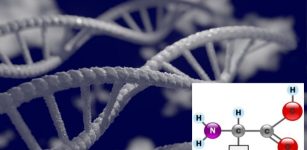 New Chemical Reactions To Generate Building Blocks Of Proteins And DNA - Discovered