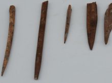 8,200-Year-Old Needles Unearthed In Turkey's Izmir