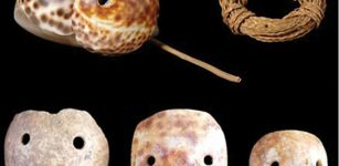 Octopus Lures From The Mariana Islands Are The Oldest Known Artifacts Of Their Kind In The World