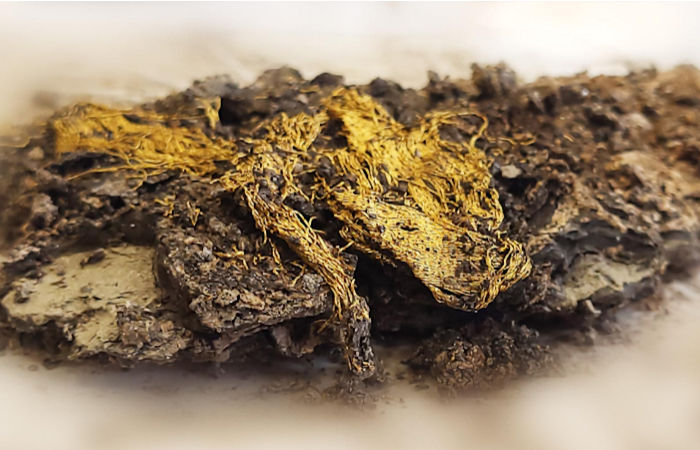 Unique Ancient Gold Cloth Found In The Necropolis Of Saint-Pierre-l'Estrier Is Is The Largest Antique Piece Found To Date