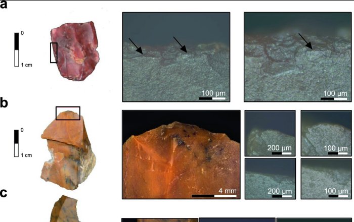 Life Of Earliest Modern Humans In Europe Revealed By Excavations Conducted In Romania