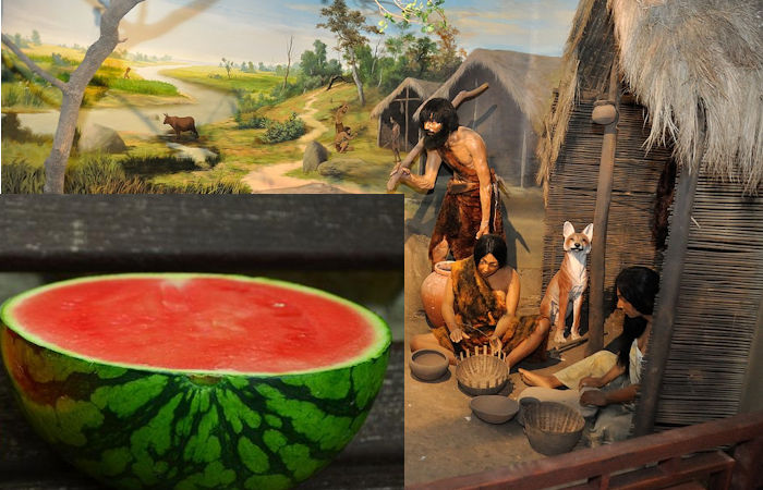 Neolithic Watermelons Reveal Some Surprises About Our Ancestors