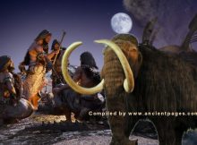 New Mexico Mammoths Offers Evidence Of Early Humans In North America Much Earlier Than Previously Thought