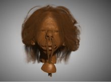 Researchers Confirm Museum Shrunken Head As Human Remains