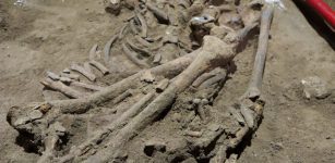 31,000-Year-Old Skeleton Missing Foot May Show Oldest Amputation