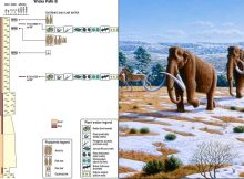 A new study shows that  the area close to the modern shoreline of Ancient Britain was a hub of human and animal activity in the first few thousand years after the last glacial period.