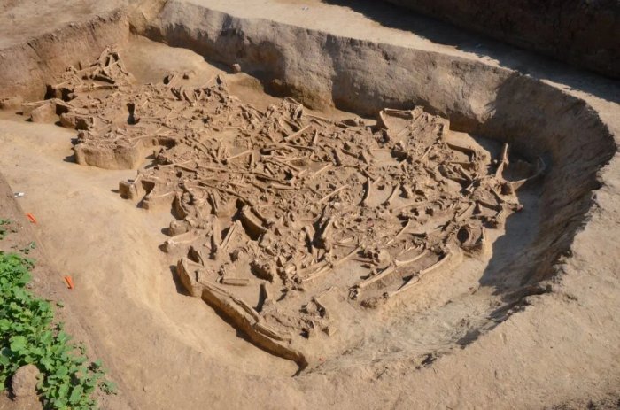 Gruesome Discovery Of Headless Bodies In Vráble, Slovakia - Remains Of Stone Age Cult Victims Unearthed