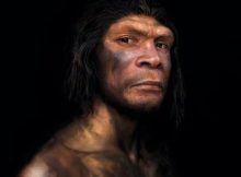 Neanderthals Died Out 40,000 Years Ago, But There Has Never Been More Of Their DNA On Earth